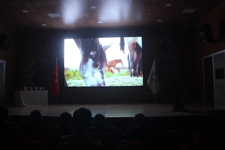 Uluslararası Göbeklitepe Kısa Film Festivali'ne 79 ülkeden 953 film katıldı