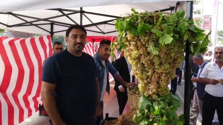 Gercüş’te bağ bozumu ve gastronomi festivali