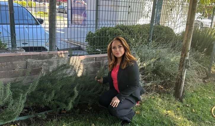 Ankara Kapari yağı ciltteki lekeleri gidermeye ve romatizmaya bire bir