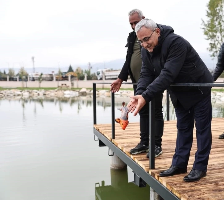 Kütahya da Yedigöller’e Koi balığı bırakıldı