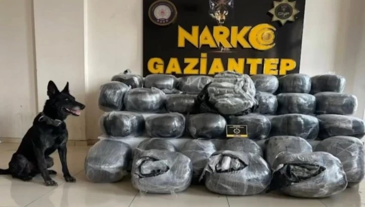 Gaziantep'te zehir tacirlerine büyük darbe