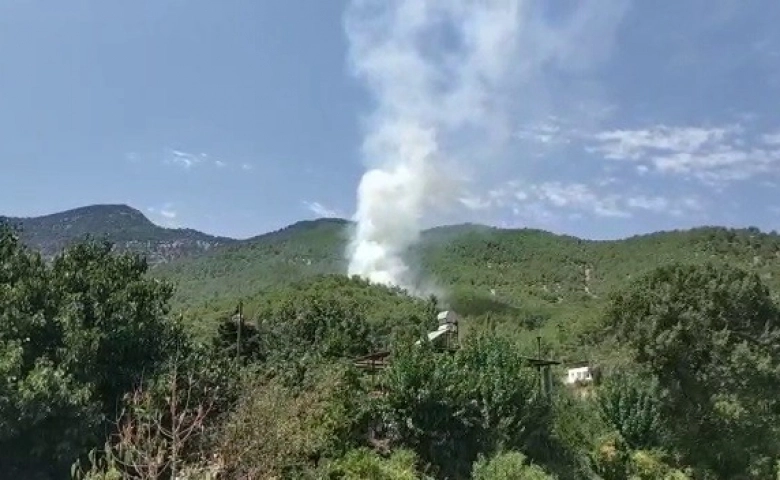 Hatay’ın Hassa ilçesinde ormanlık alanda yangın