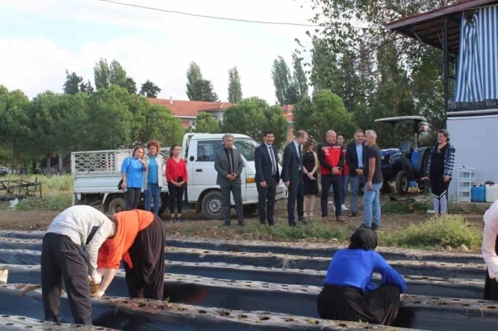 Köyceğiz’de öğrenciler tarımsal üretime devam ediyor