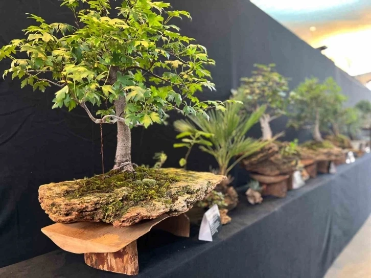 Uluslararası Bonsai Sempozyumu