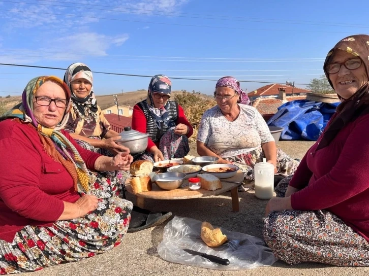 Fakirin eti, kuru fasulyenin zorlu hasat mesaisi başladı,