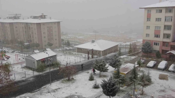 Van beyaza büründü,142 yol ulaşıma kapandı, uçaklar rötar yaptı