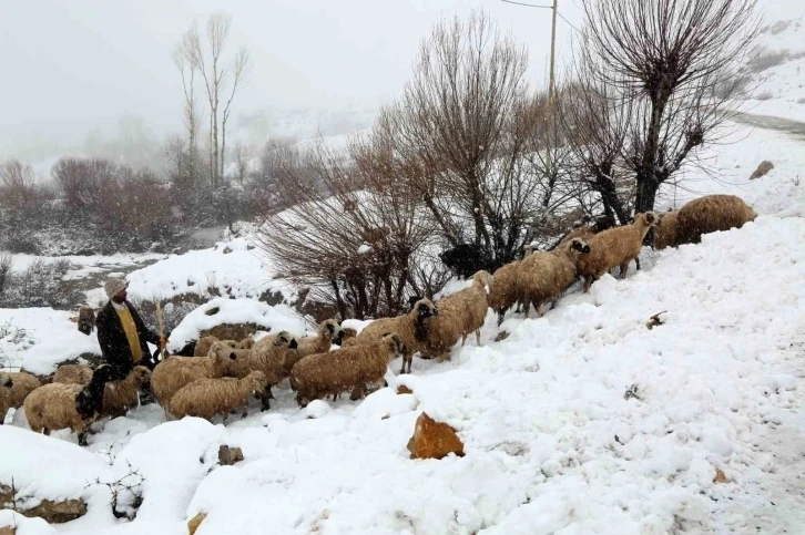 Çobanlar koyun sürülerini Yaylalardan indirirken kar ve tipiye yakalandı