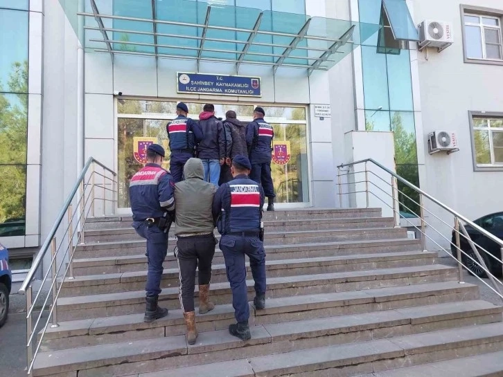 Gaziantep'te zeytin bahçesinden hırsızlık yapan şüpheliler yakalandı