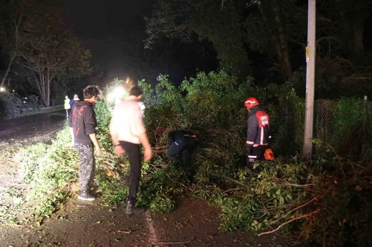 Fırtına, Sakarya’nın turistik ilçesini yıktı geçti