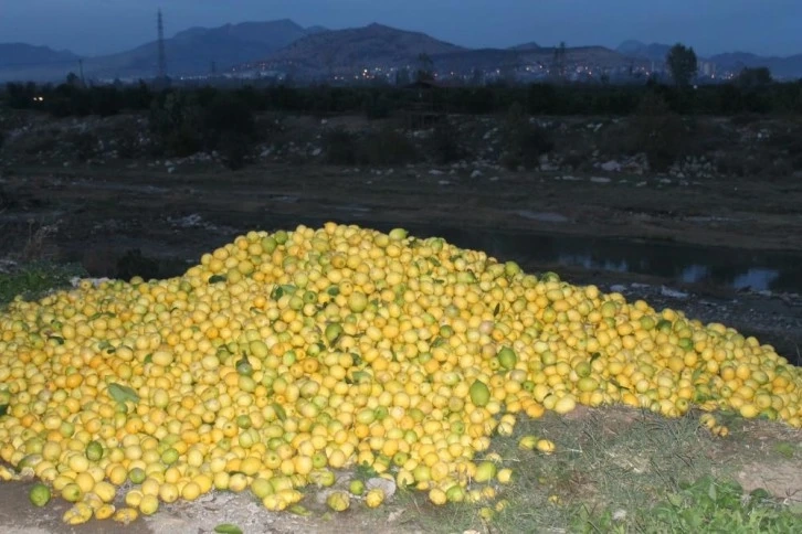 Limon para etmeyince üretici tonlarca limonu dere yatağına döktü