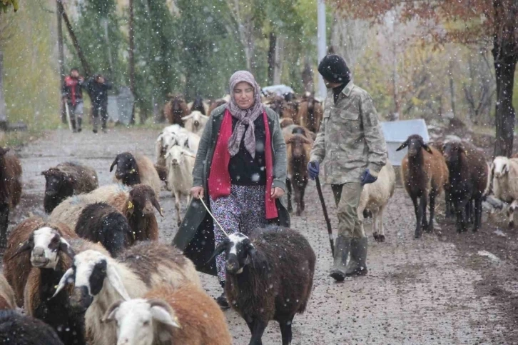 Köye dönüş projesiyle hayvancılık canlanıyor