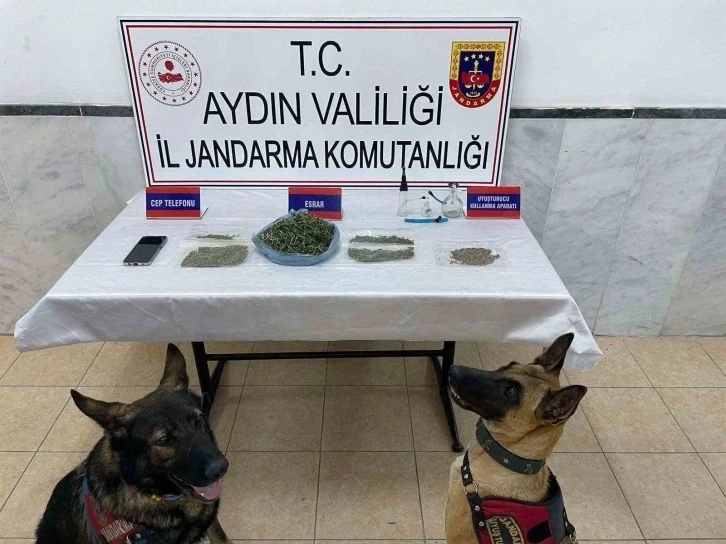 Aydın da Jandarmadan uyuşturucu operasyonu: 22 yakalama