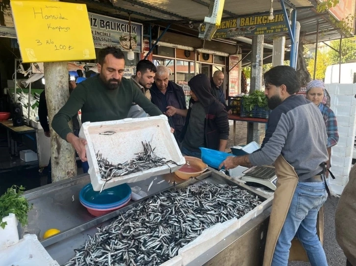 Balık tezgahlarını Karadeniz hamsisi süslüyor