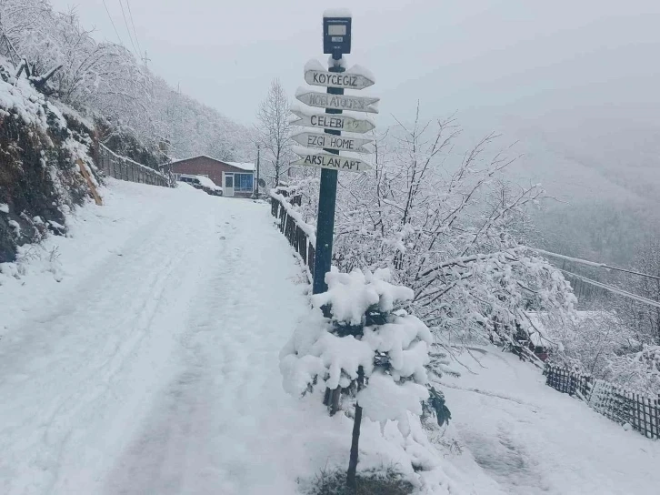 Ordu' da yüksek kesimlerinde kar yağışı etkili oldu