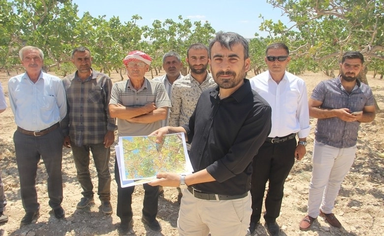 Son dakika haber! Şanlıurfa'da fıstık üreticileri baklavacılara ...