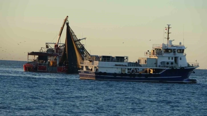 Karadenizliler Gürcistan’a hamsi avına gidiyor