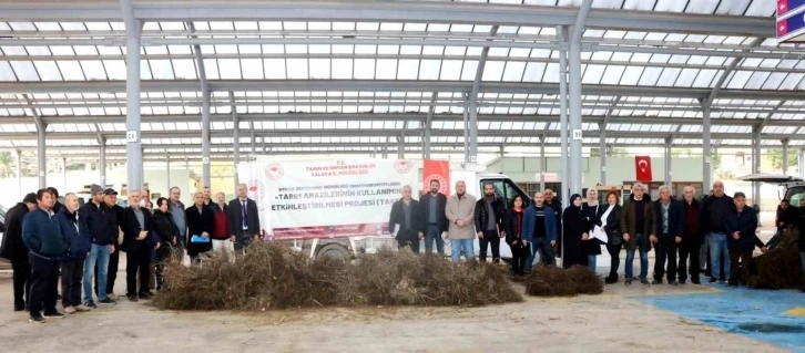 Çiftçilere Trabzon hurması ve ceviz fidanı dağıtıldı