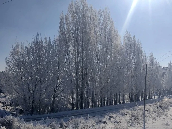 Van'ın Çaldıran ilçesi buz kesti