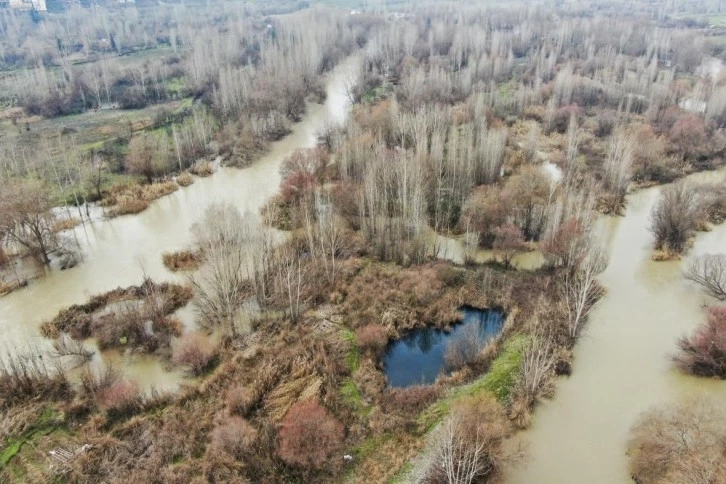 Dicle Nehri’nde hayat tehdit altında