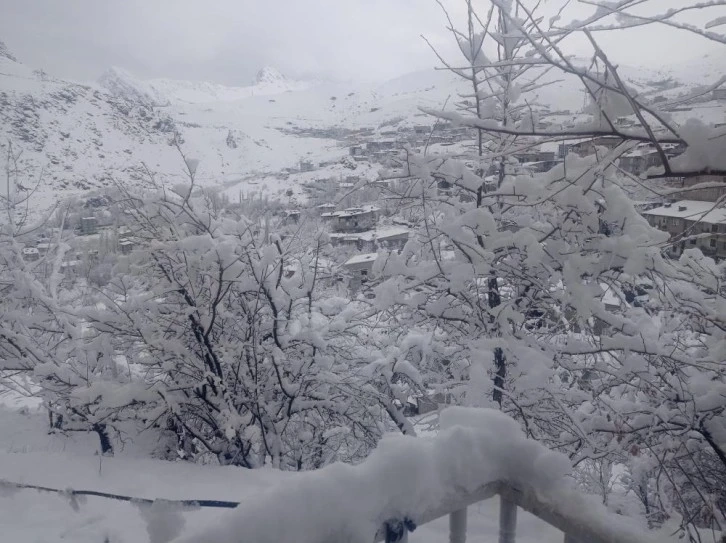 Hakkari'de 284 yerleşim yerinin yolu kapandı okullar tatil edildi