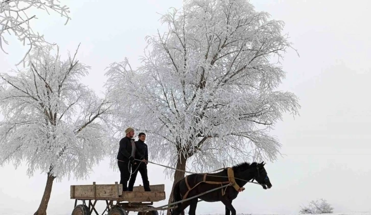 Gece en düşük hava sıcaklığı eksi 22,5 derece olarak ölçüldü