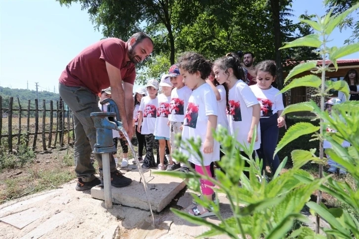 Canik Orman Okulu, Doğayı doğada anlatan eğitim kampüsü