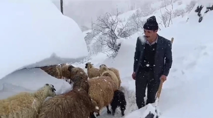 Van da hayvanların tünelli geçişi