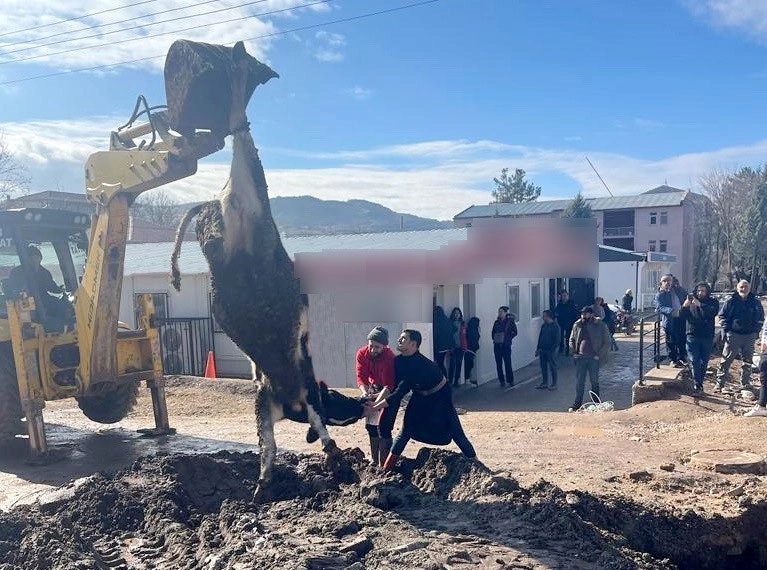 Gölbaşı İlçesi'nde banka müdürünün tayini çıktı diye tosun kestiler