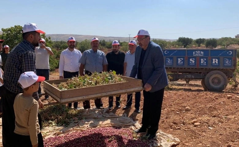 Milletvekili Bayram Yılmazkaya:  Antep Fıstığına hasret kalacağız