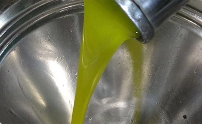 ABD 'ye Organik Zeytin Yağı Kilisten gidecek