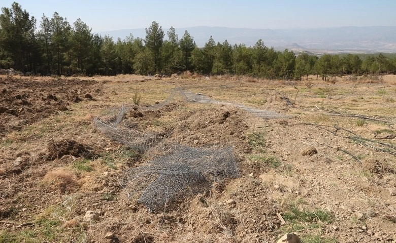 Alıç bahçesini traktörle sürüp tahrip ettiler