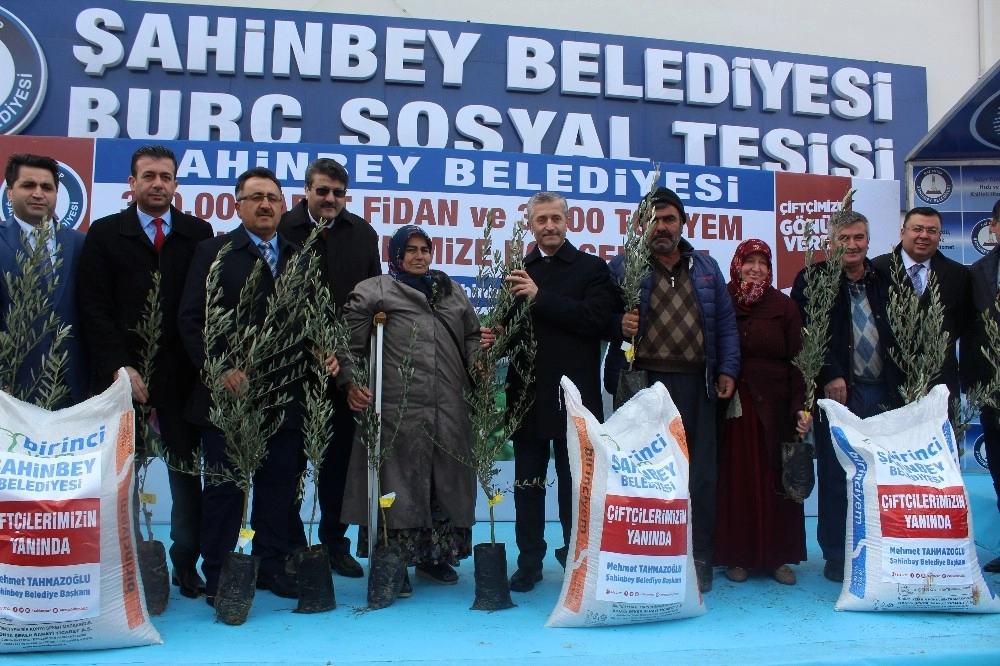 Şahinbeyden 300 Bin Adet Fidan Ve 3 Bin 500 Ton Yem Desteği