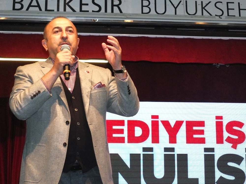 Bakan Çavuşoğlundan Avusturyaya “Bozkurt” Tepkisi