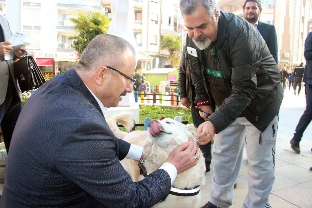 Ak Partili Yılmaz: "sokak Hayvanlarını Doğal Yaşam Parkına Kavuşturacağız"