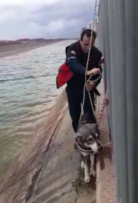 Sulama Kanalına Düşen Köpeği İtfaiye Kurtardı