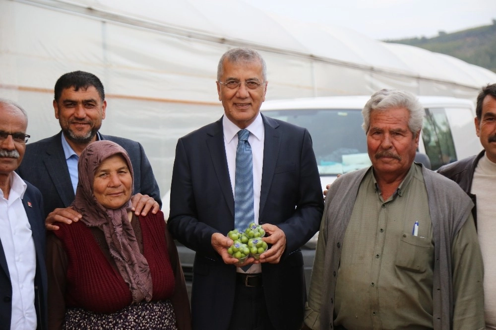 Erik Hasadı Yapan Çiftçiye Başkan Tarhandan Destek Ziyareti