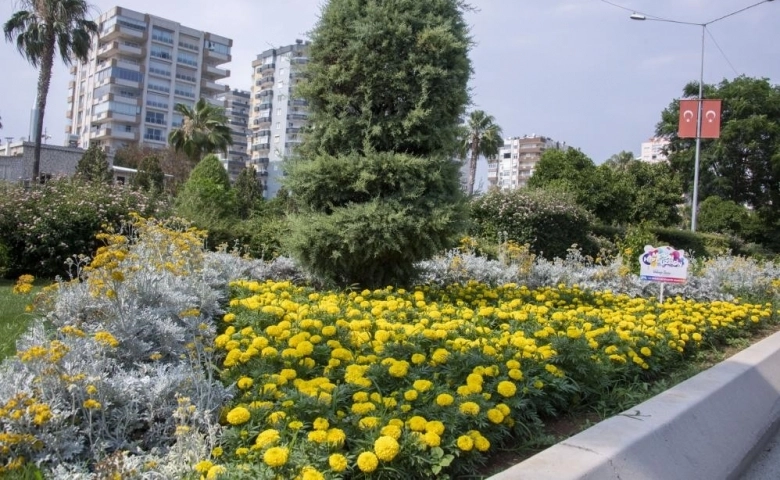 Mersin'de Kavşak ve refüjler artık daha yeşil