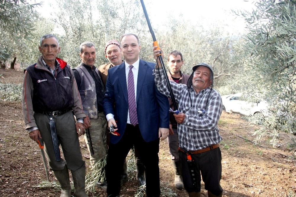 Bağımsız Aday Gökçenin Tarımsal Projeleri İlgi Görüyor