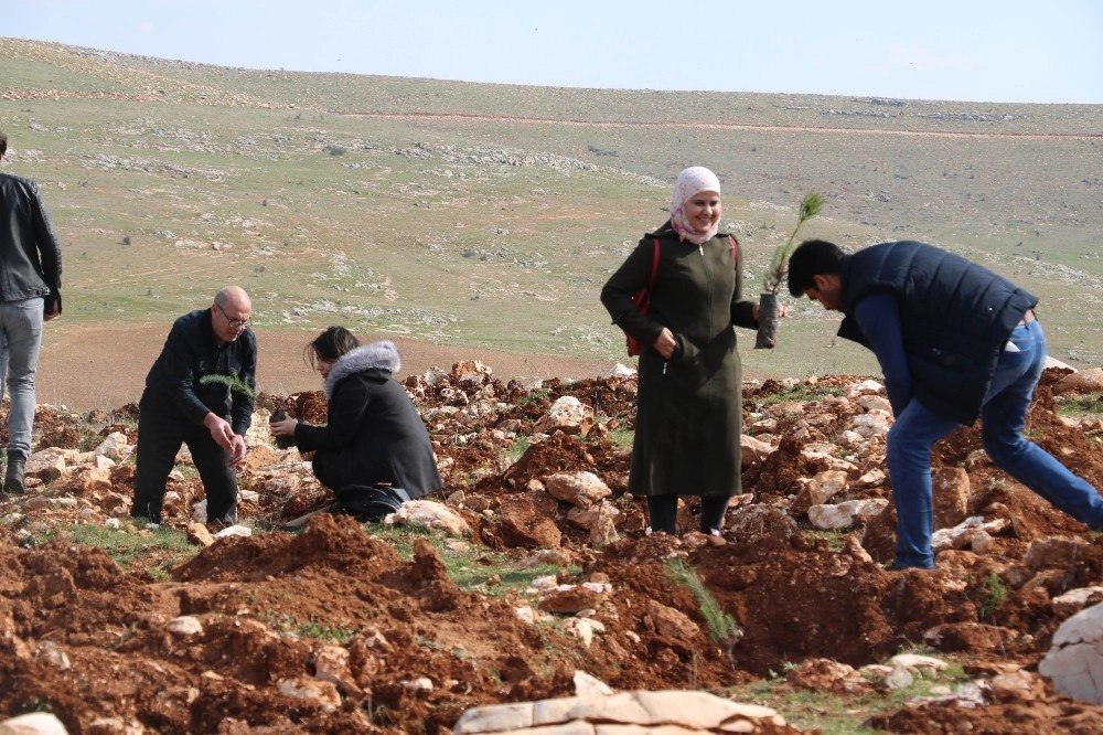 Türk Ve Suriyeli Çocuklar İçin Hatıra Ormanı