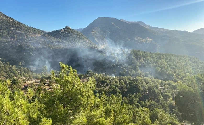 Adıyaman'daki orman yangınına havadan ve karadan müdahale ediliyor