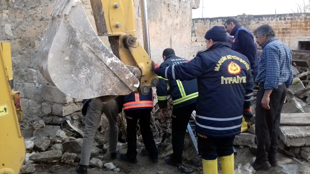 Foseptik Çukuruna Düşen İneği İtfaiye Kurtardı