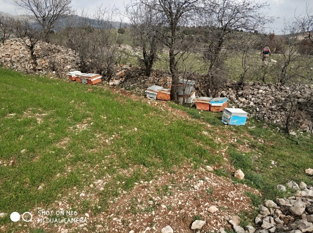 Adıyamanda Arı Kovanlarını Çalan Şahıs Tutuklandı