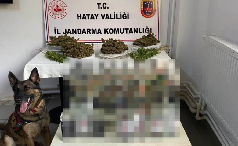 Hatay’da derin dondurucudan uyuşturucu çıktı