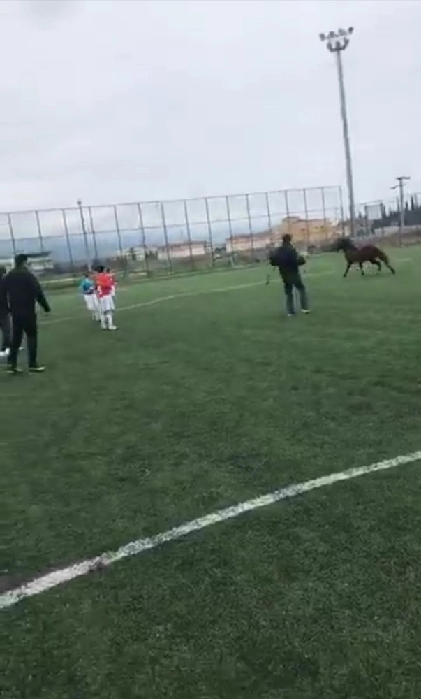 Futbol Turnuvasında Sahaya Giren At Korku Dolu Anlar Yaşattı