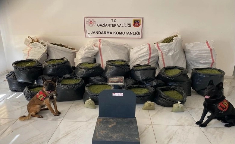 Gaziantep'te 235 kilo kubar esrar ele geçirildi