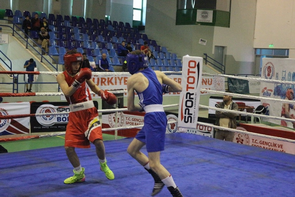 Türkiye Boks Şampiyonası Final Maçlarıyla Sona Erdi