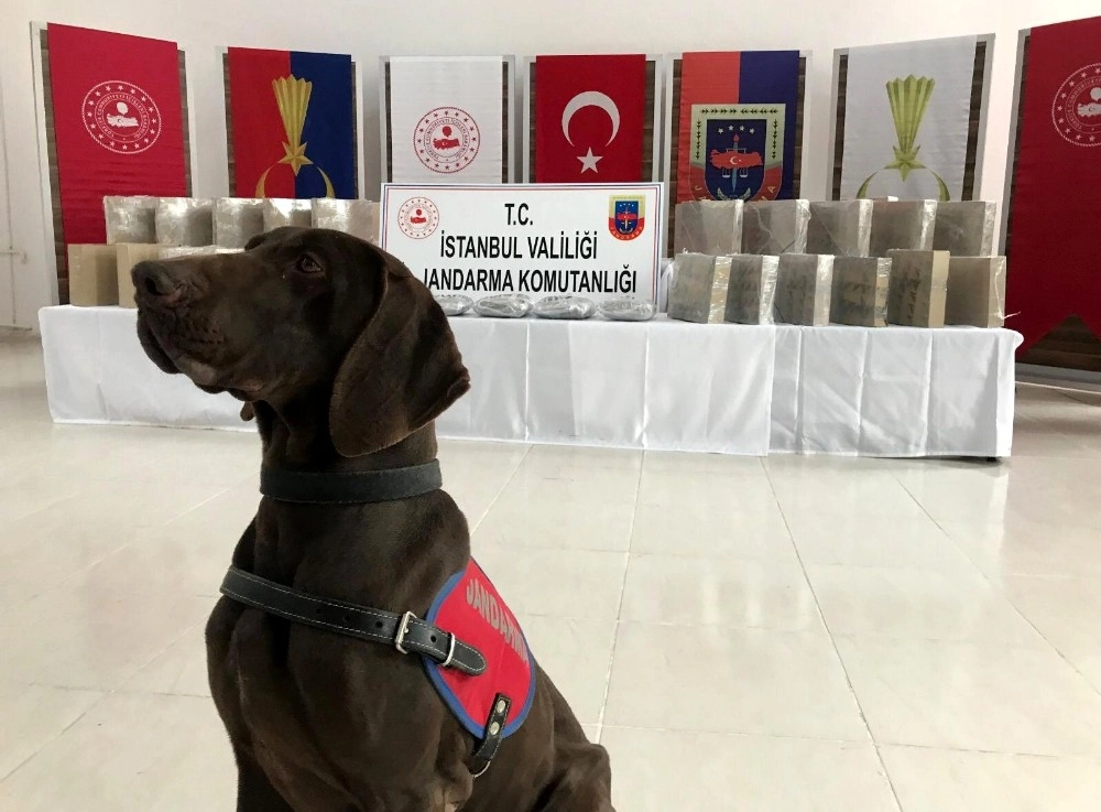 Jandarma Ekipleri, 50 Kilo Uyuşturucu Maddesinin Piyasaya Sürülmesine İzin Vermedi