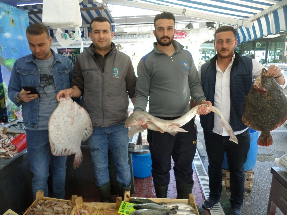 Av Mevsiminin Sonu Yaklaşırken Balık Bollaştı