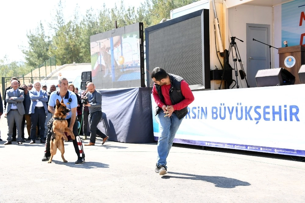 Kocamaz, Kaşlı Geçici Hayvan Bakımevinin Açılışını Yaptı