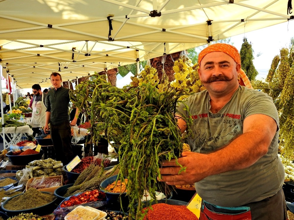 Alaçatı Ot Festivali Yine Dopdolu Geçecek